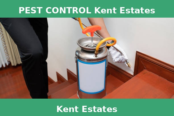 PEST CONTROL Kent Estates